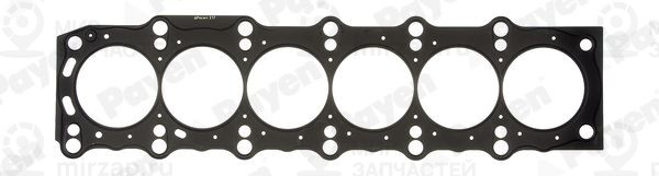 Запчасть PAYEN AG5100