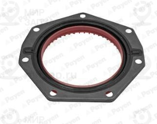 Запчасть PAYEN NF883