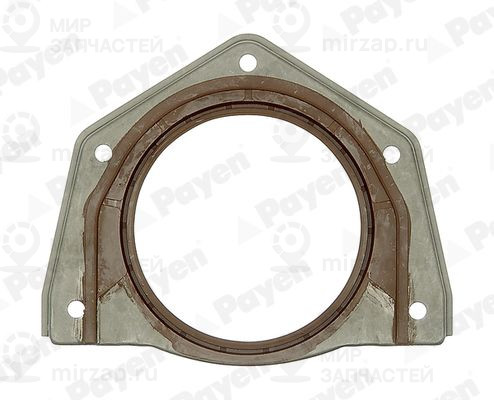 Запчасть PAYEN NF888