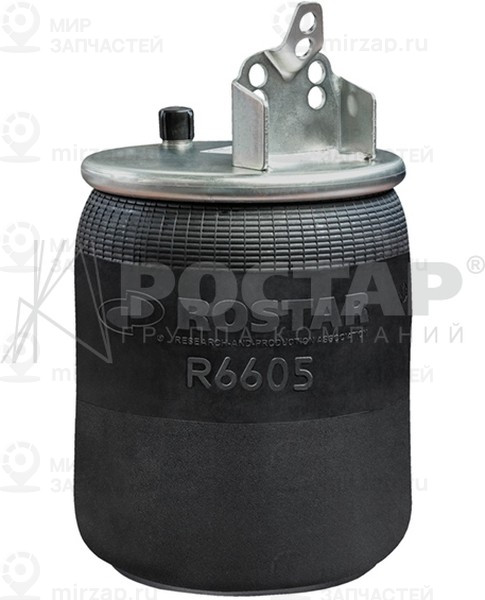 Запчасть ROSTAR R6605DFS01