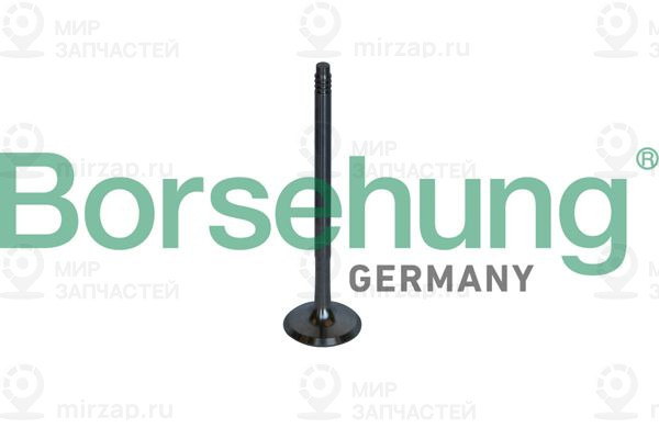 Выпускной клапан Borsehung B10326