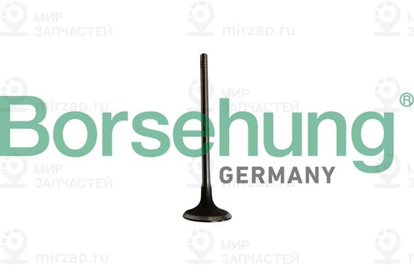 Запчасть Borsehung B10334
