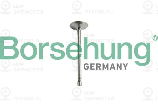 Запчасть Borsehung B10344