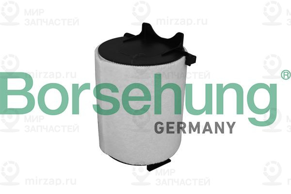 Запчасть Borsehung B10536