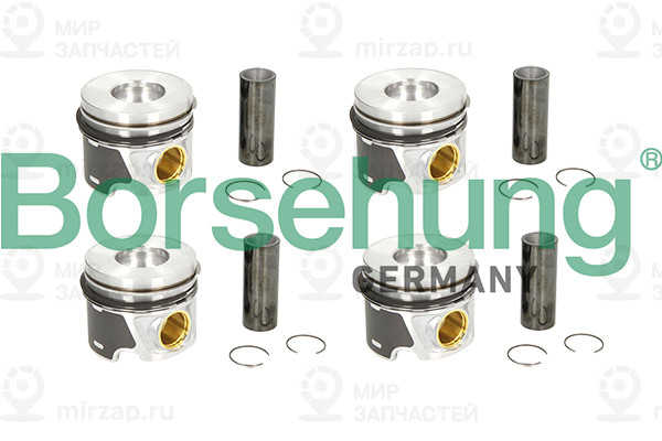 Запчасть Borsehung B11131