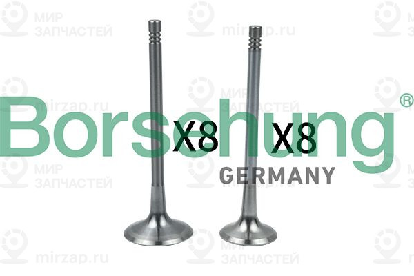 Впускной клапан Borsehung B18634