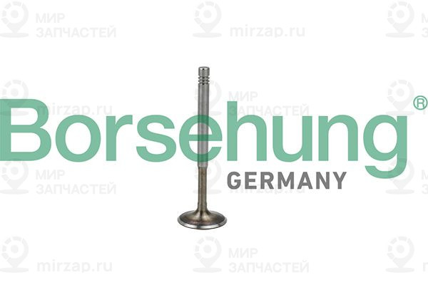 Выпускной клапан Borsehung B19009