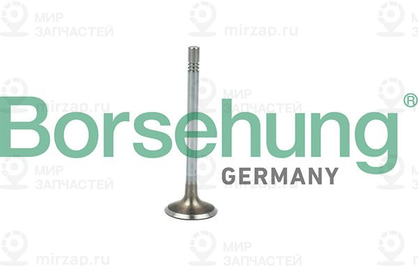 Запчасть Borsehung B19021