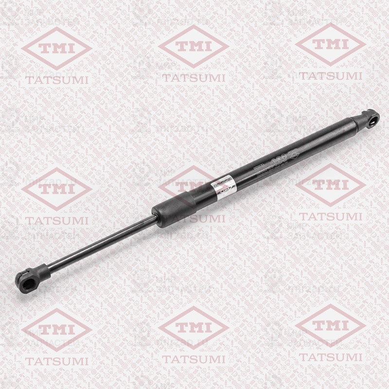 Запчасть TATSUMI TAF1010