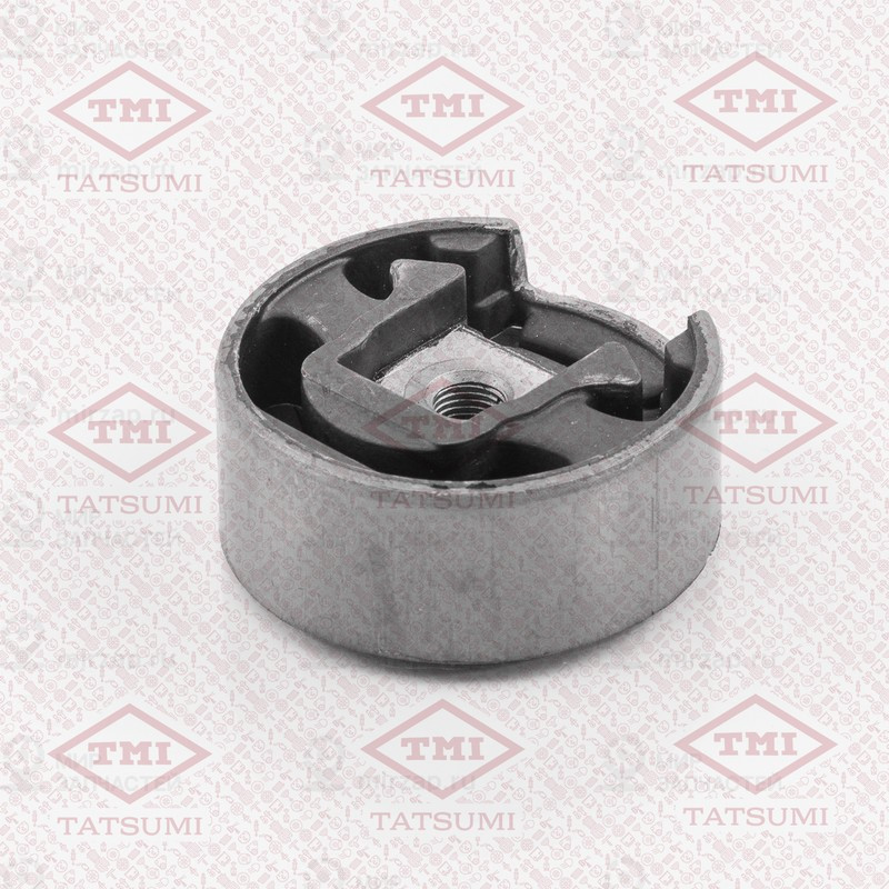 Запчасть TATSUMI TEG1264