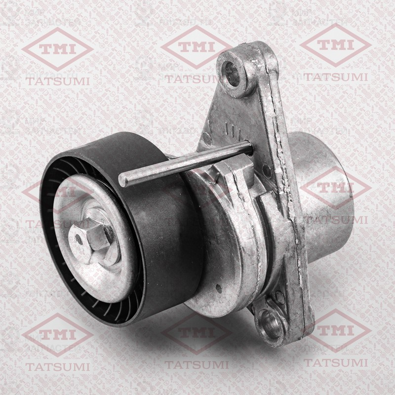 Запчасть TATSUMI TFD1093