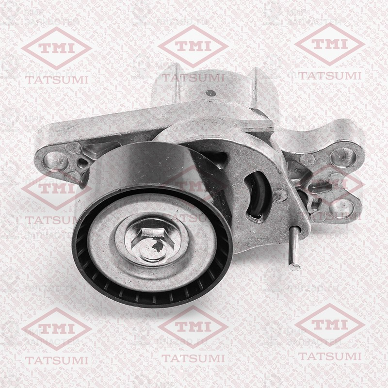 Запчасть TATSUMI TFD1100