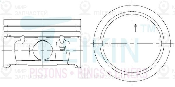 Запчасть TEIKIN 67106050