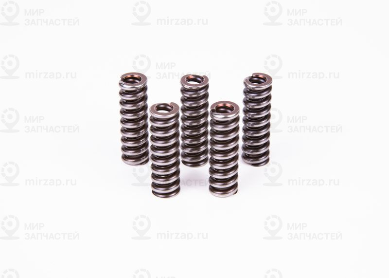 Рессора BOSCH 2434614022