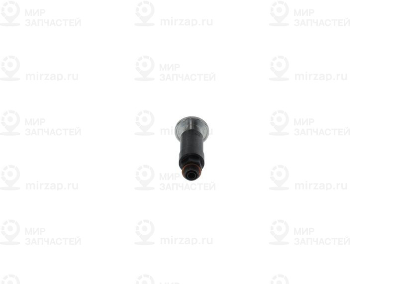 Ручной насос BOSCH 2447010020