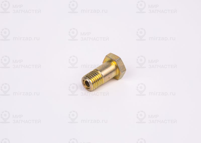 Болт BOSCH F002D13579