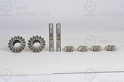 Ремкомплект, дифференциал BSG BSG60440006