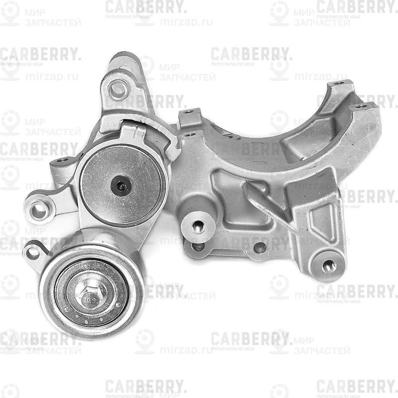 Запчасть CARBERRY 55CA106