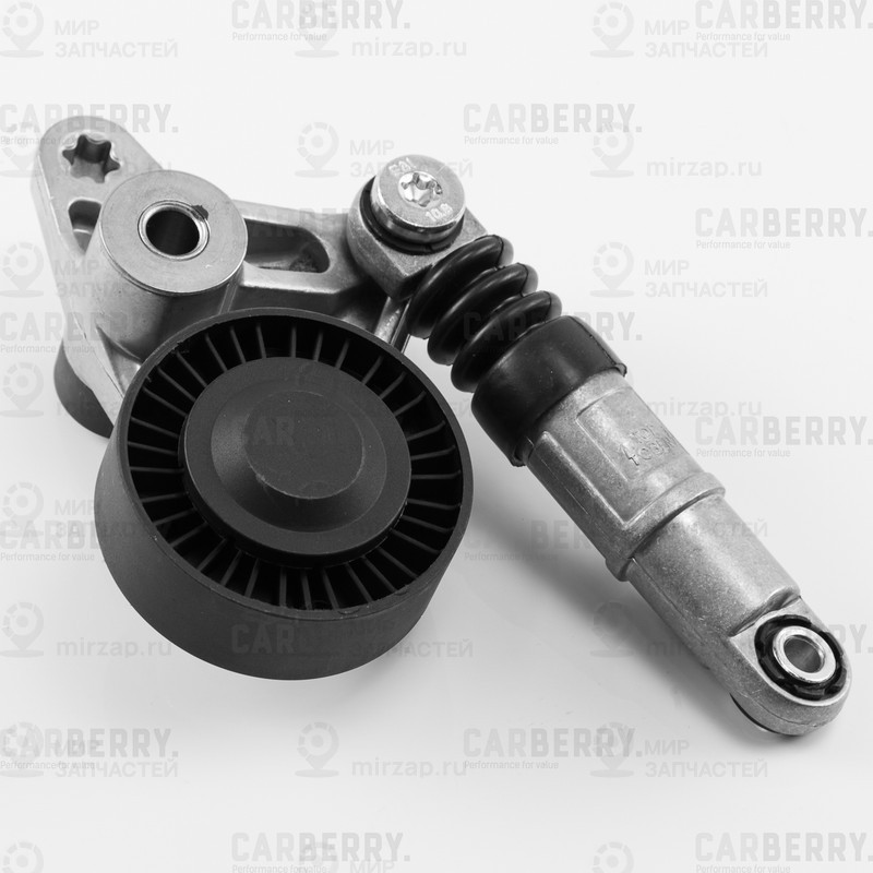 Запчасть CARBERRY 55CA113