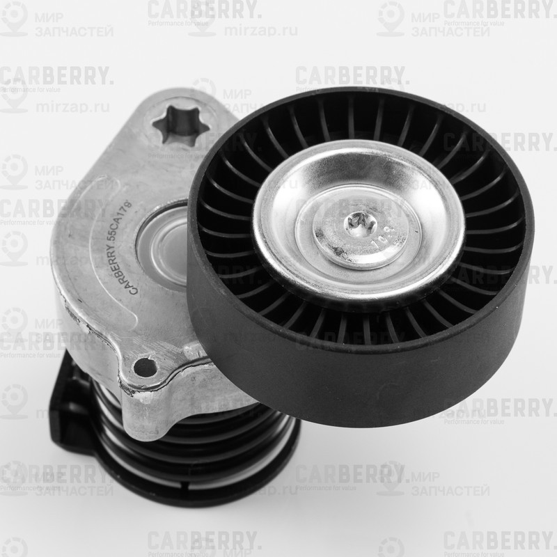 Запчасть CARBERRY 55CA179