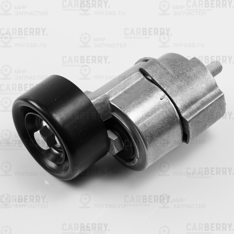 Запчасть CARBERRY 55CA204