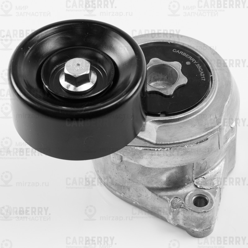 Запчасть CARBERRY 55CA217