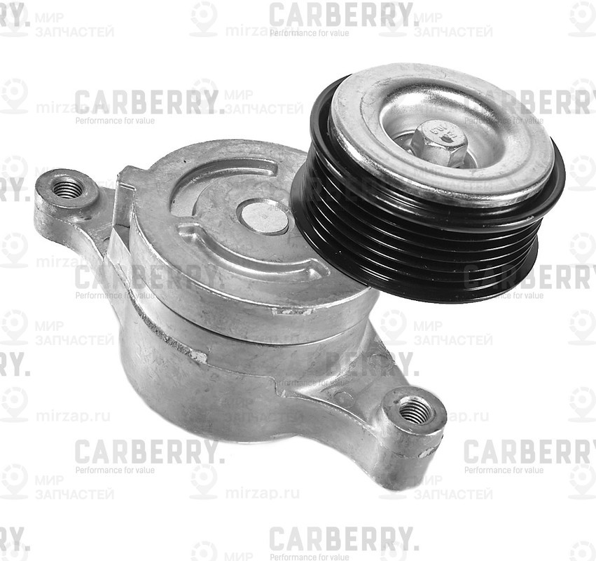 Запчасть CARBERRY 55CA225