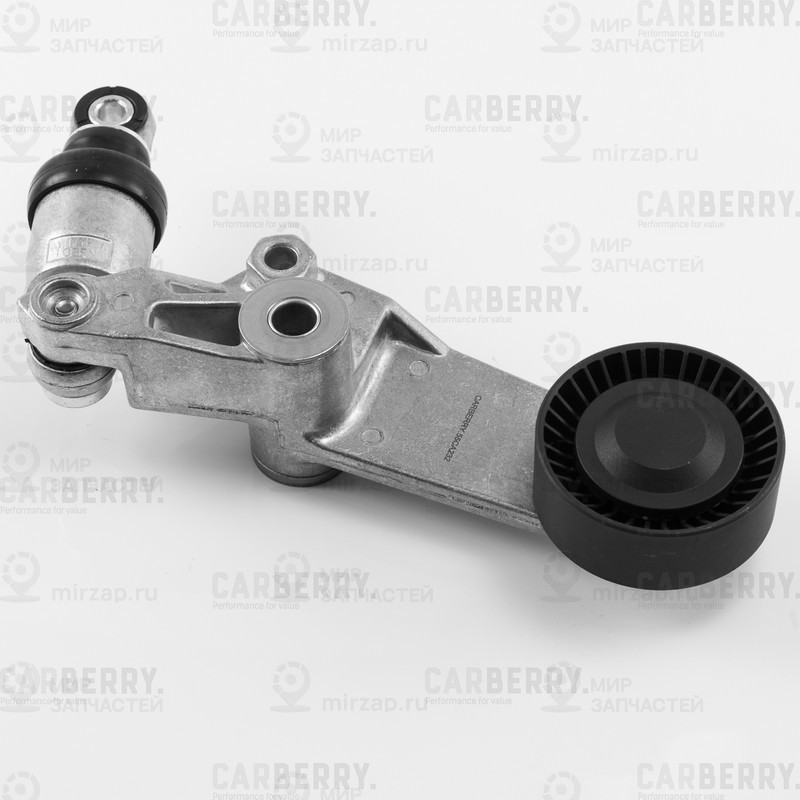 Запчасть CARBERRY 55CA232