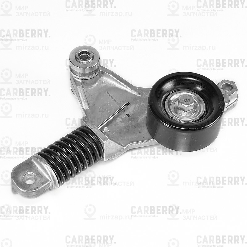 Запчасть CARBERRY 55CA244