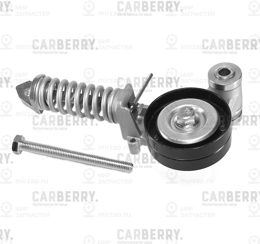 Запчасть CARBERRY 55CA256