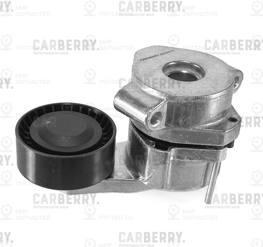 Запчасть CARBERRY 55CA274