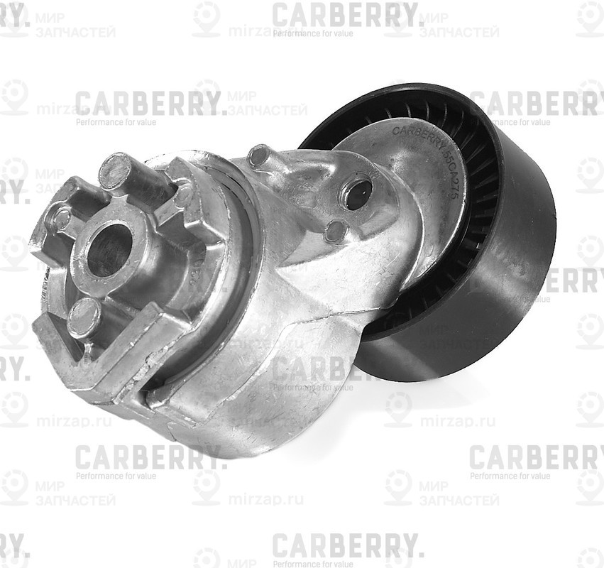 Запчасть CARBERRY 55CA275