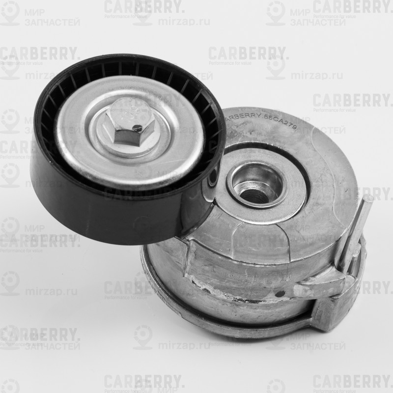 Запчасть CARBERRY 55CA279