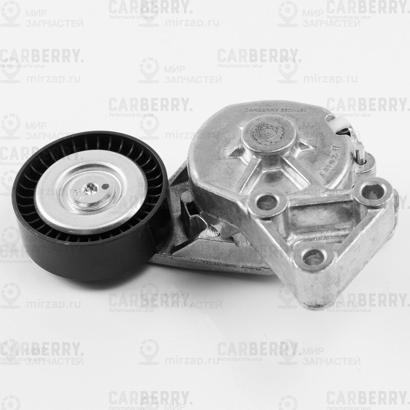 Запчасть CARBERRY 55CA280