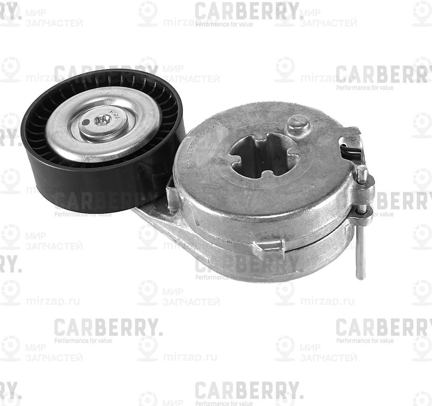 Запчасть CARBERRY 55CA281