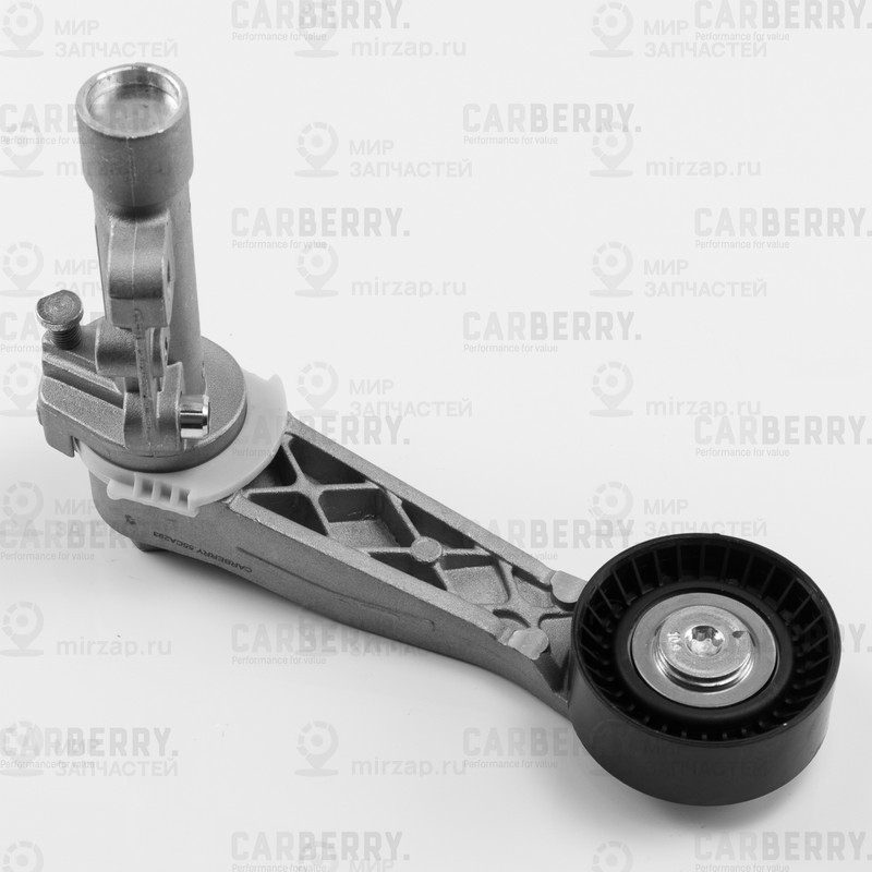 Запчасть CARBERRY 55CA293