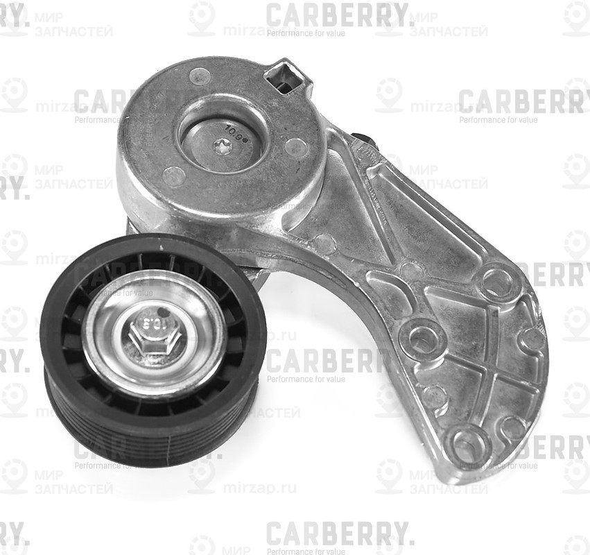 Запчасть CARBERRY 55CA297