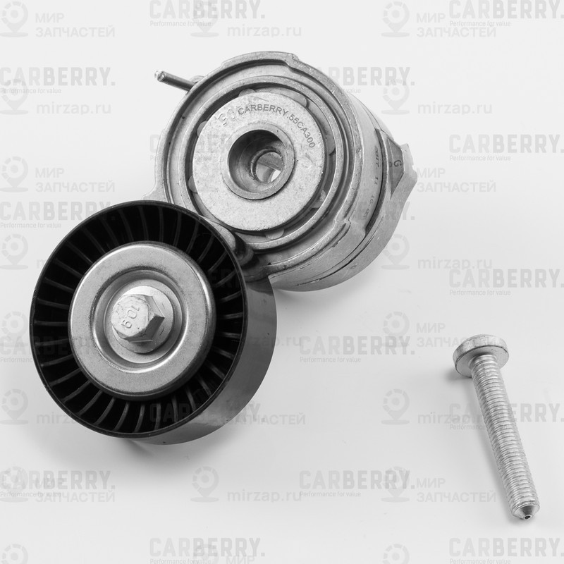 Запчасть CARBERRY 55CA300