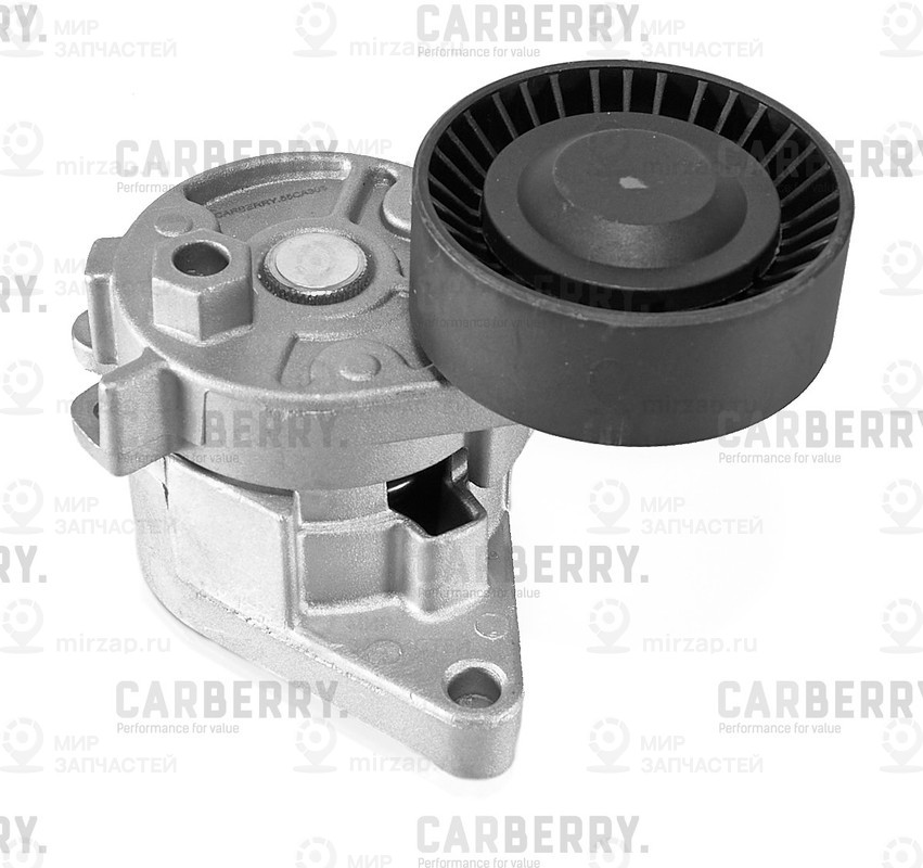 Запчасть CARBERRY 55CA303