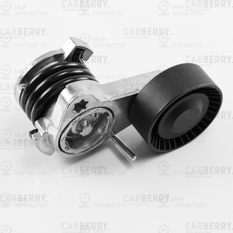 Запчасть CARBERRY 55CA312