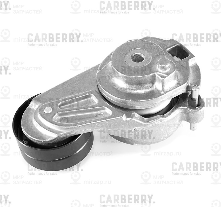 Запчасть CARBERRY 55CA322