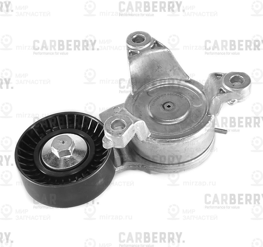 Запчасть CARBERRY 55CA412