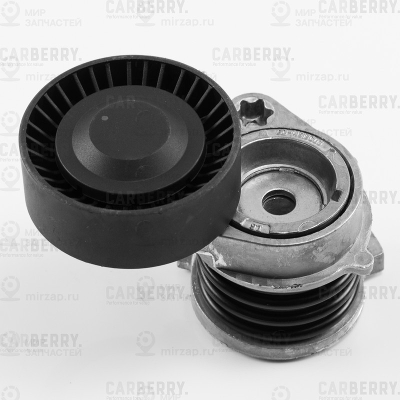 Запчасть CARBERRY 55CA428