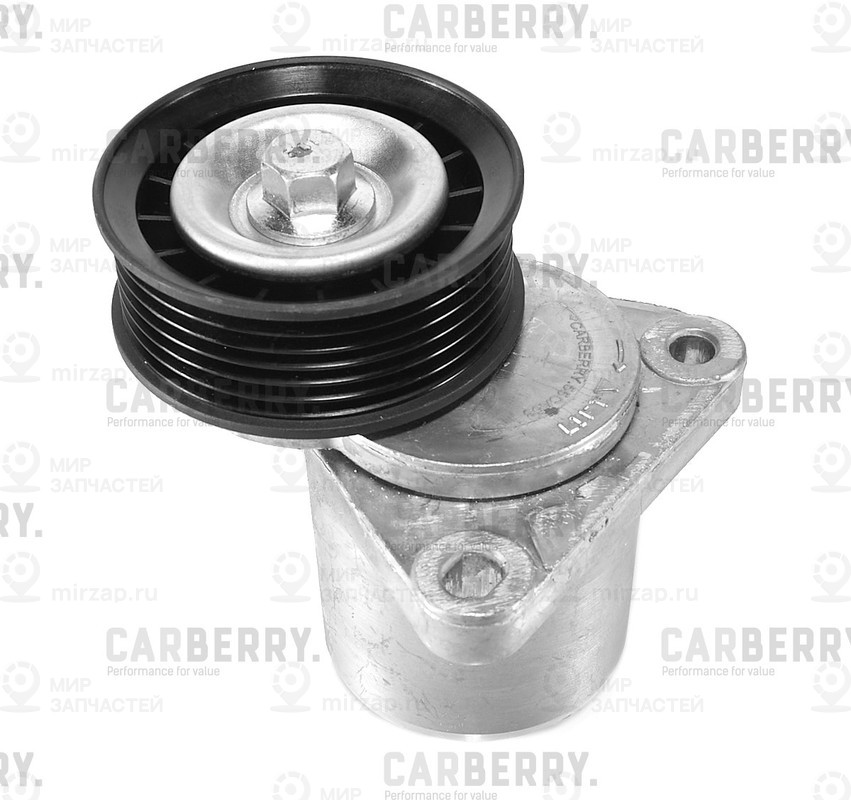 Запчасть CARBERRY 55CA53