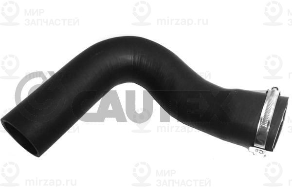 Запчасть CAUTEX 186725