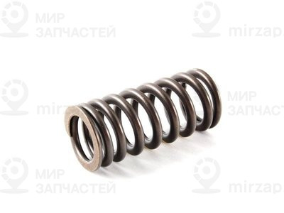 Пружина клапана
 VAG 06F109623
