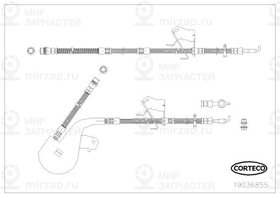 Тормозной шланг CORTECO 19036855