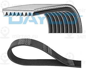 Поликлиновой ремень DAYCO 8PK2585