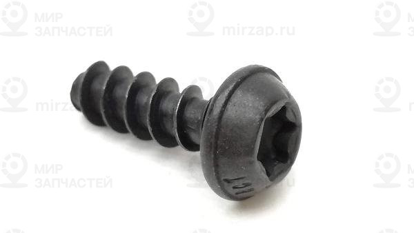 Винт со скр.цил.гол.,внут.torx
 VAG N10415903