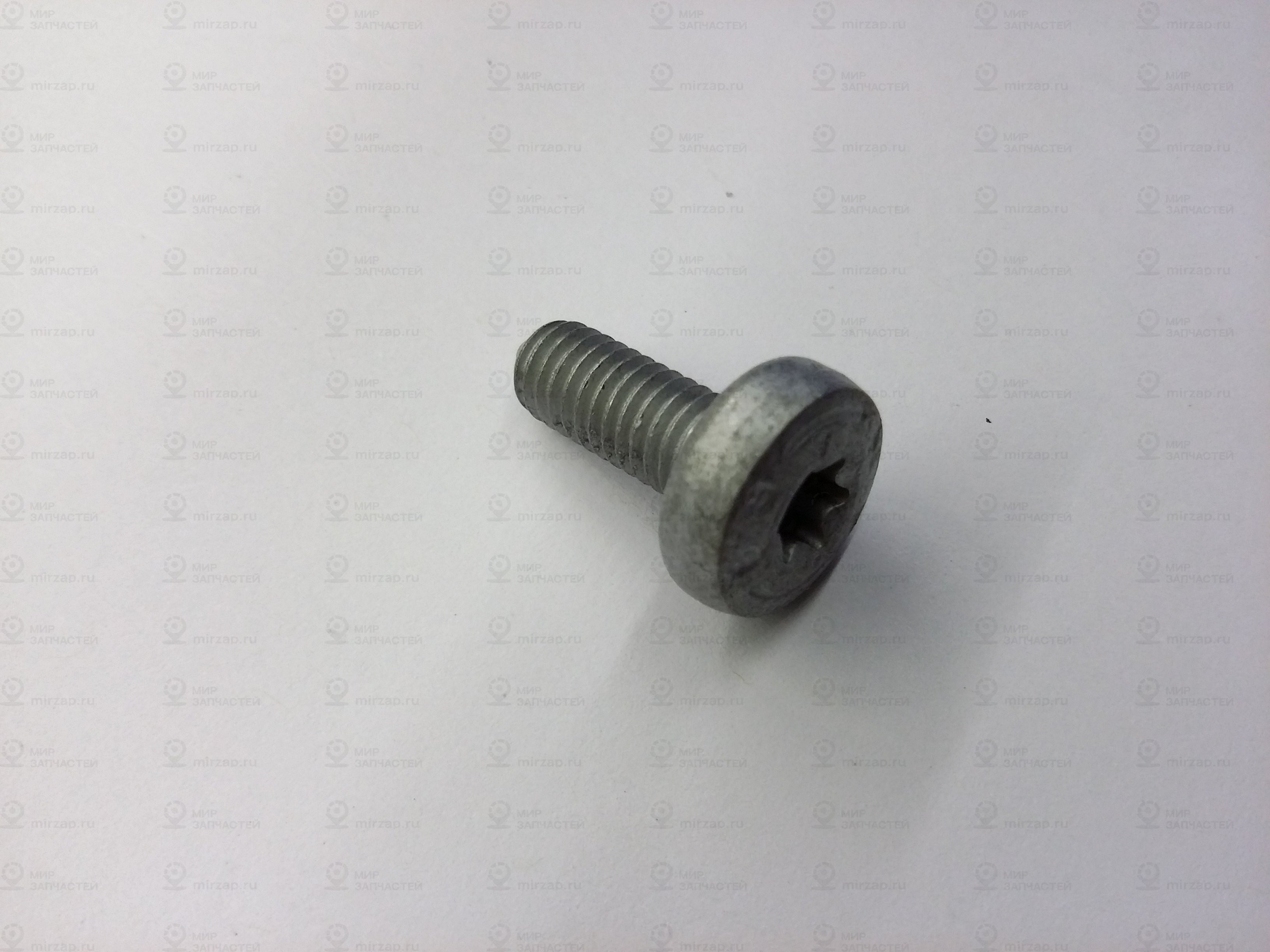 Винт со скр.цил.гол.,внут.torx
 VAG N91096701